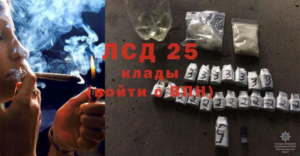 спайс Аркадак