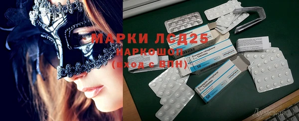 спайс Аркадак
