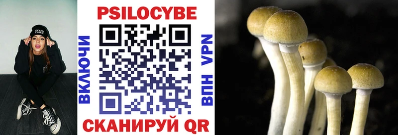что такое наркотик  Правдинск  Галлюциногенные грибы Magic Shrooms 